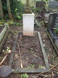 image of grave number 435169